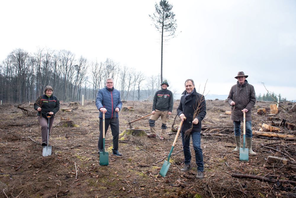 Baumpflanzaktion Zukunftswald im Bergischen Foto (v.l.): Christina Amling, Wald und Holz NRW; Achim Südmeier, RheinEnergie-Vorstand; Raik Gröning, Leiter Forstbetriebsbezirk Kürten; Manfred Habrunner, BELKAW-Geschäftsführer; Gerhard Naendrup, Schutzgemeinschaft Deutscher Wald Bild: RheinEnergie AG